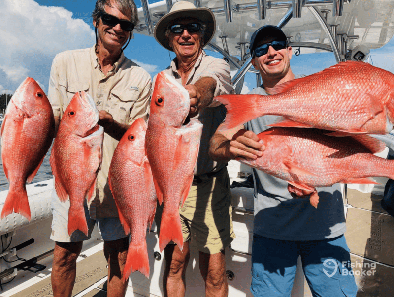 Book a fishing trip now and catch some Red Snapper with 2 Shea Charters
