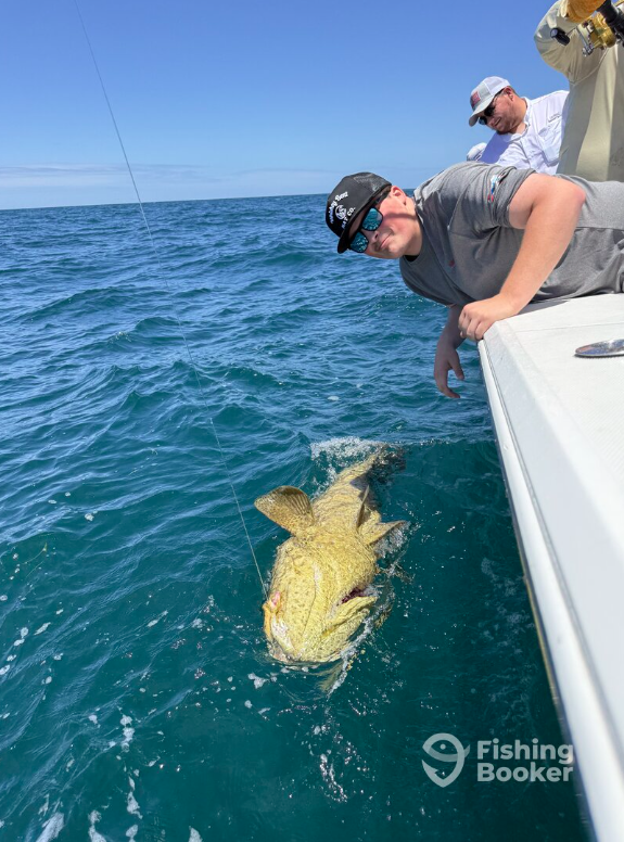 2 Shea Charters