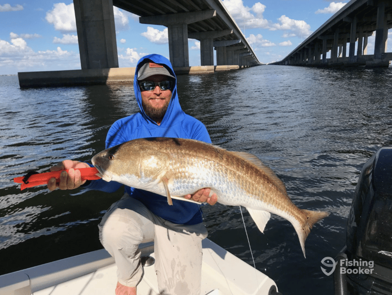 Fish Slapped Charters