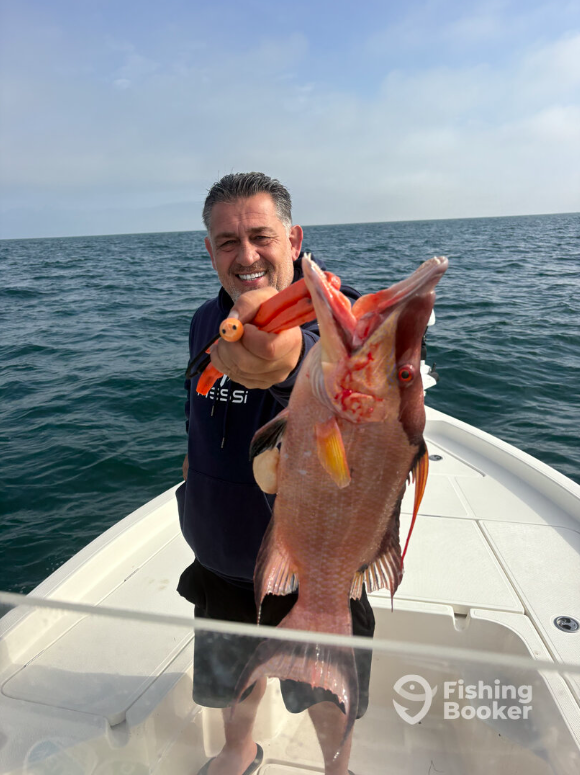 Come catch some Hogfish with Wet Lines Fishing.