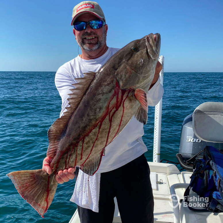 The Reel Fisher