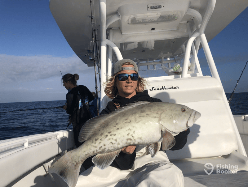 Catches can include Black Drum, Gag Grouper, Redfish, Sheepshead, Mangrove Snapper, Snook, Speckled Trout, Tarpon, and more.