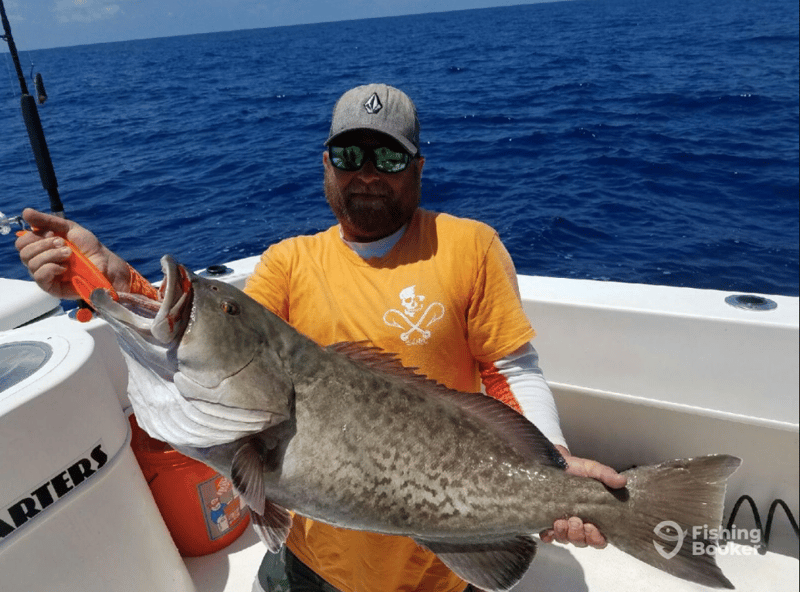 Bait House Charters