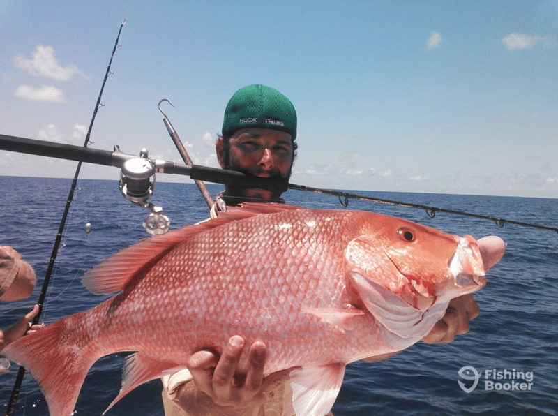 Bait House Charters