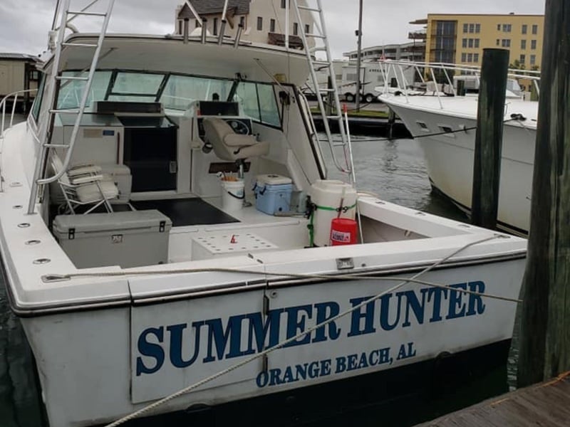 Summer Hunter on the dock in Orange Beach, Alabama