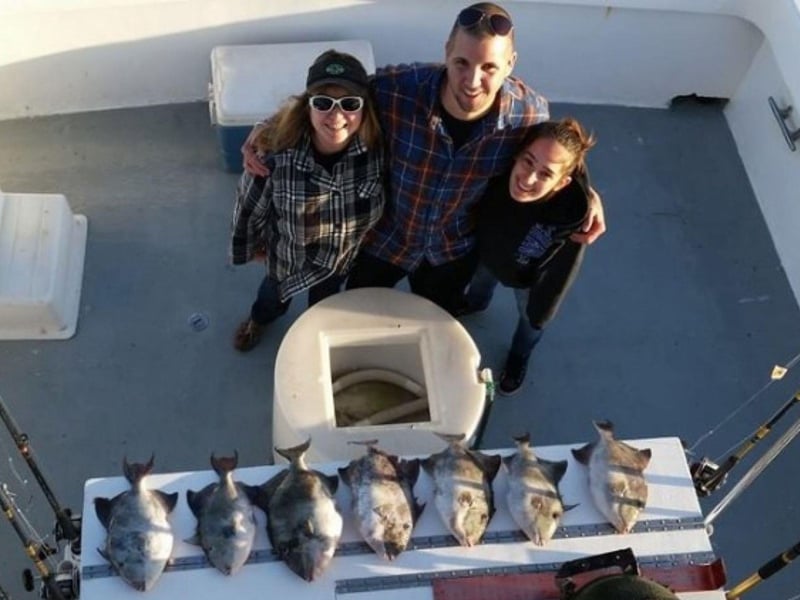 An overhead view of a group with their catch on Cool Change Charters