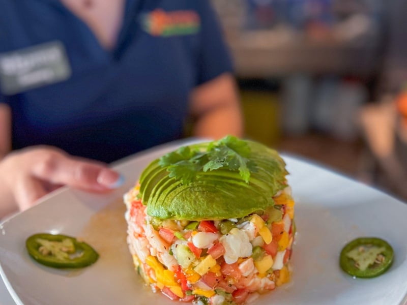Fresh ceviche with mango and avocado slices
