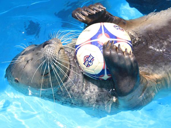 Gulf World Marine Park