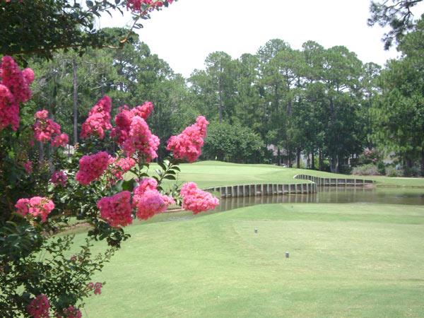 Gulf Shores Golf Club in Gulf Shores, Alabama