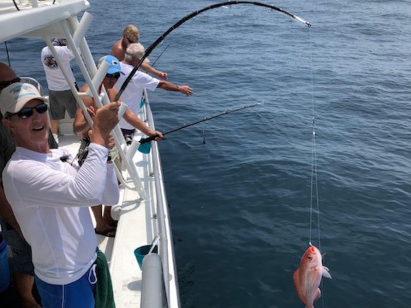 Anglers fishing off the side of the charter boat