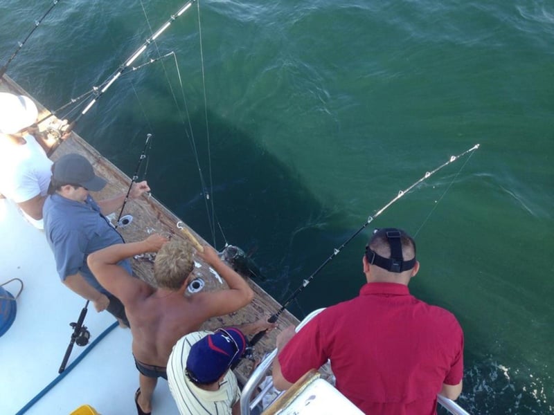 Anglers fishing off the side of the boat