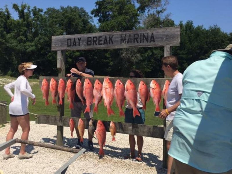A group with their catch from Charter Boat Katelyn in Pensacola Beach, Florida
