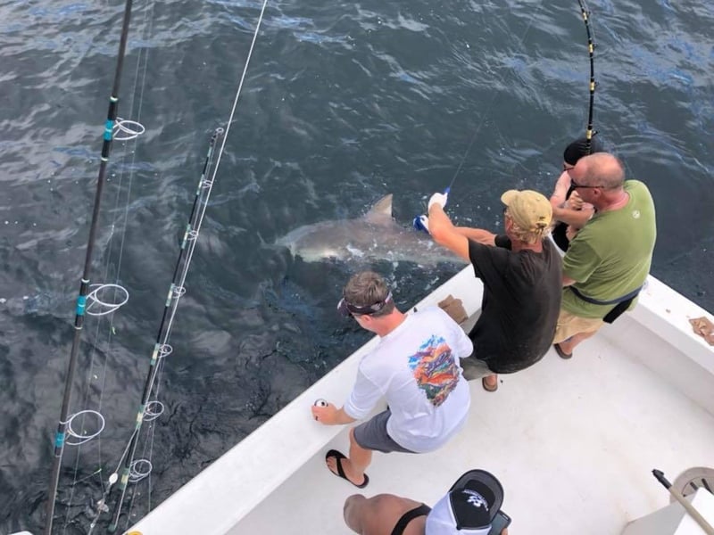 An overhead view of a group fishing on Hog Wild