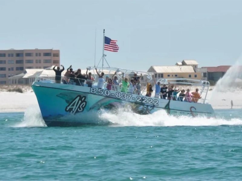 One of AJs dolphin tours on the water