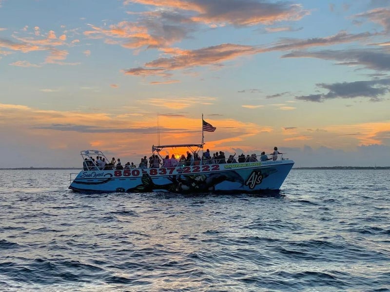A sunset dolphin cruise from AJs Marina