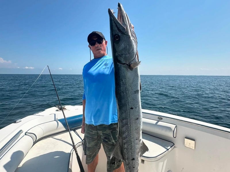 Enjoy fishing for a variety of species off the coast of Sarasota, Florida