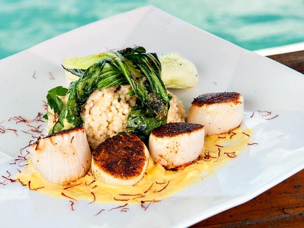 Scallops at Conch Republic Seafood