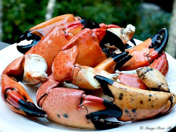 Stone Crab Claws at the Conch Republic in Key West