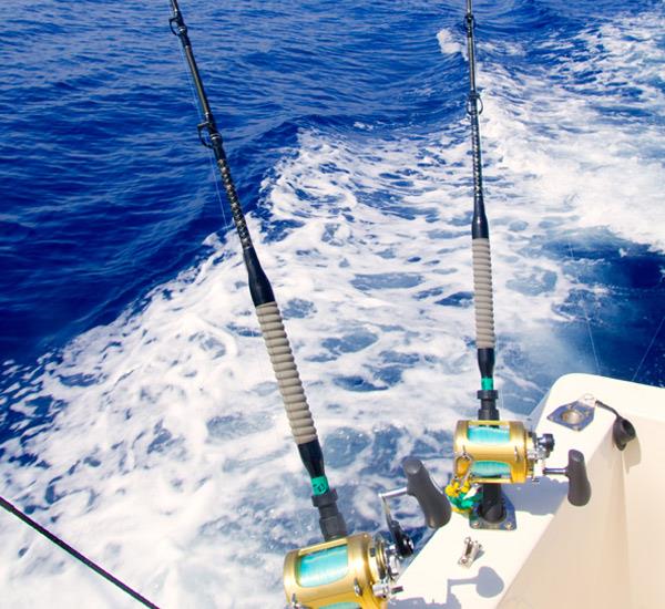 Captain Josh Charters on Anna Maria Island Florida