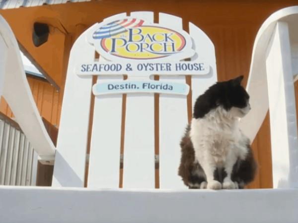 The Back Porch Oversized Lawn Chair