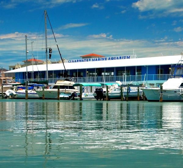 Exterior shot on the marina side of Clearwater Marine Aquarium