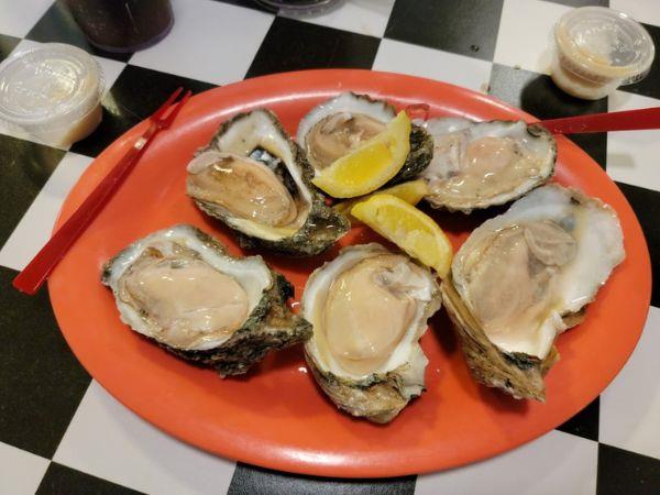 Oysters on the half shell