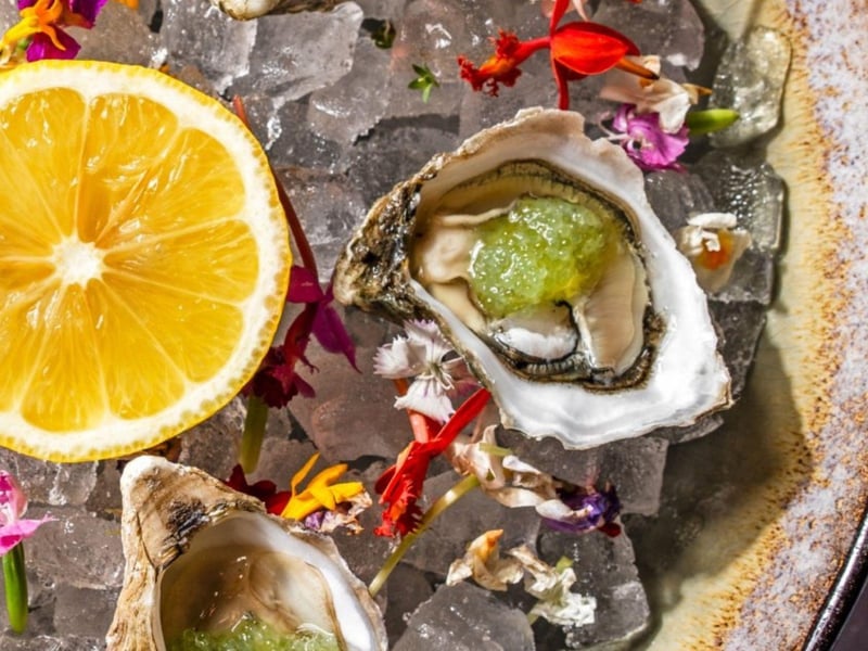 Fresh oysters on the half shell