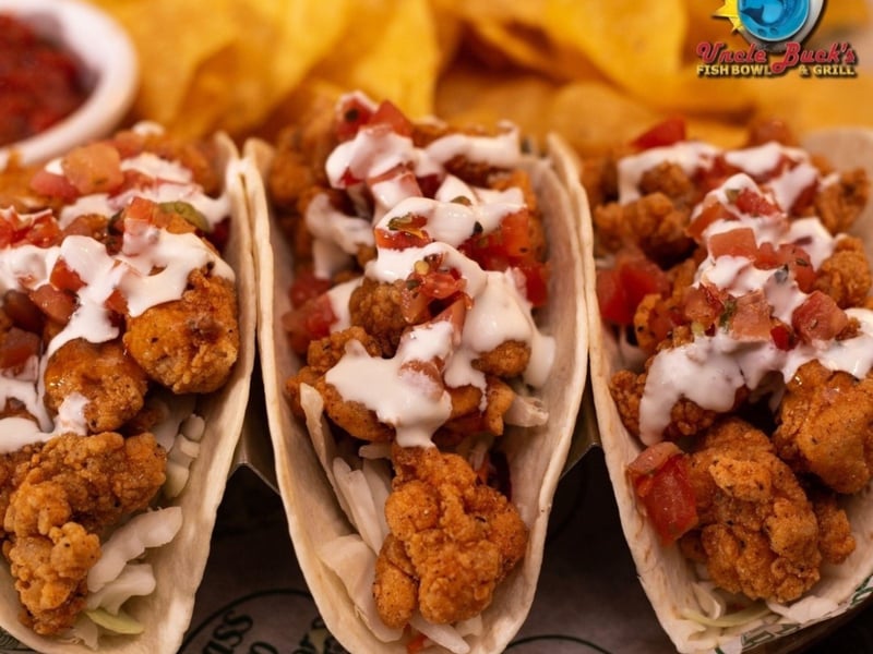 Alligator tacos with chips