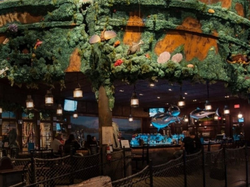 Uncle Bucks Fish Bowl and Grill in Destin, Florida