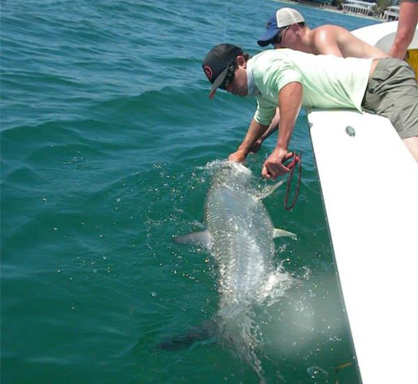 Anna Maria Island Fishing Charters
