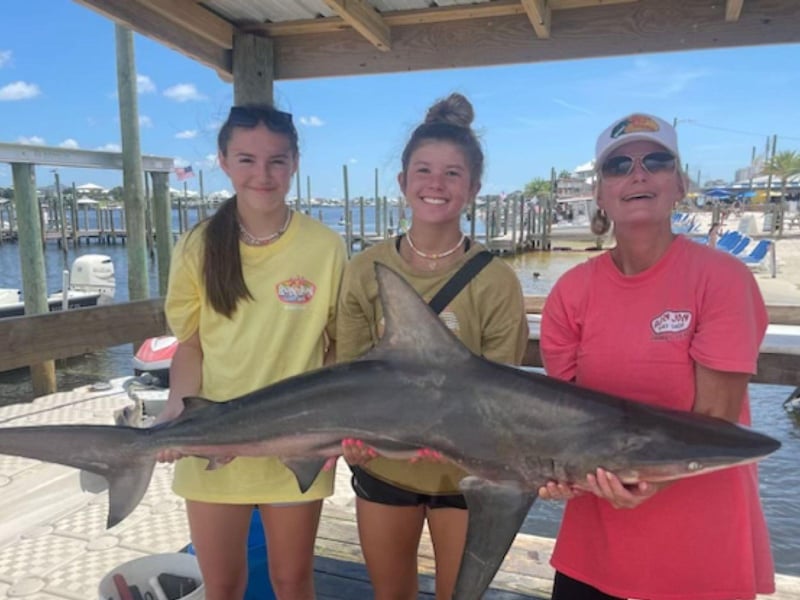 A group with their shark at the dock in Orange Beach, Alabama
