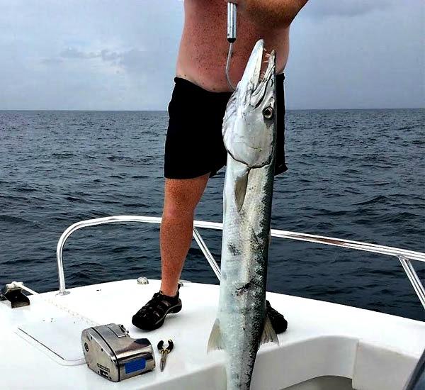 Catching barracuda on Bay View Fishing Charters on St. George Island, Florida