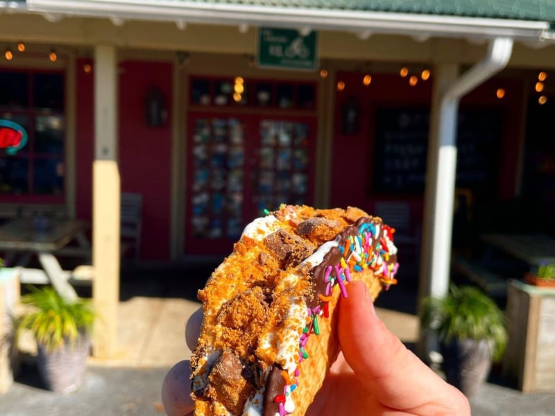 Homemade soft serve choco tacos