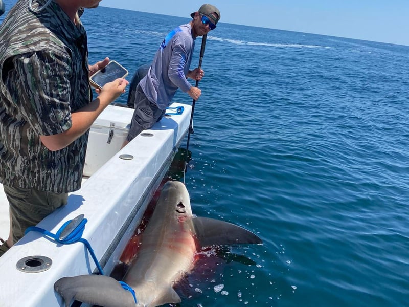 A man fishing on Strickly Fishing Charters in Pensacola Beach, Florida