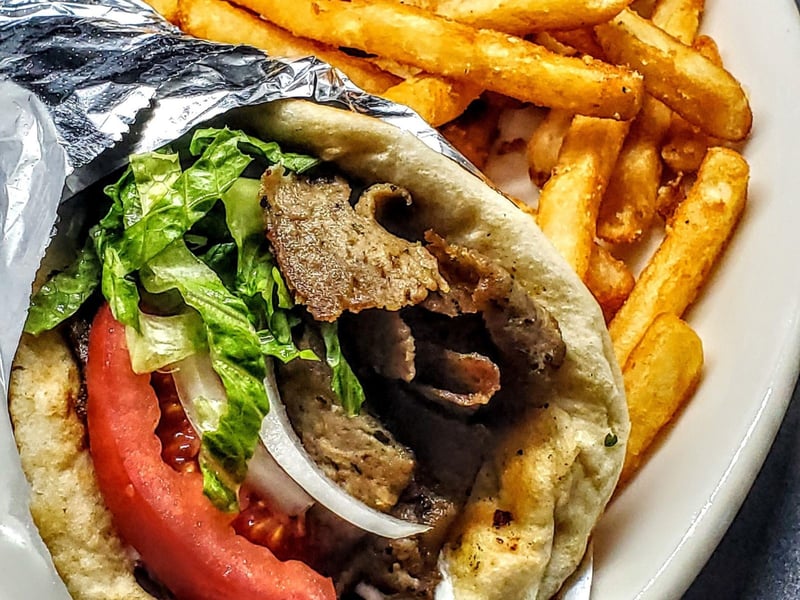 The Gyro with french fries from The Aegean