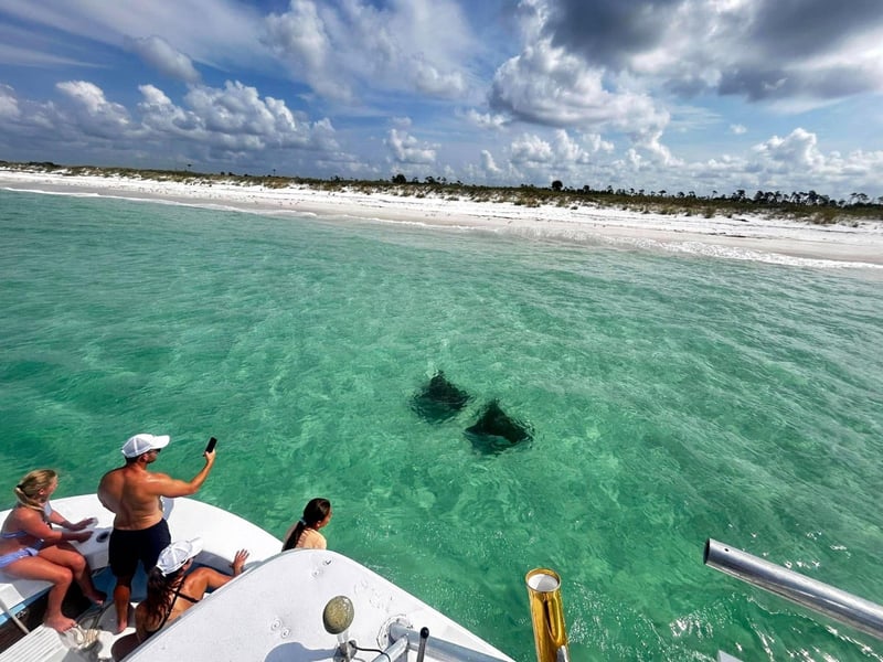 A stingray spotting with St. Andrews Bay Charters  Tours