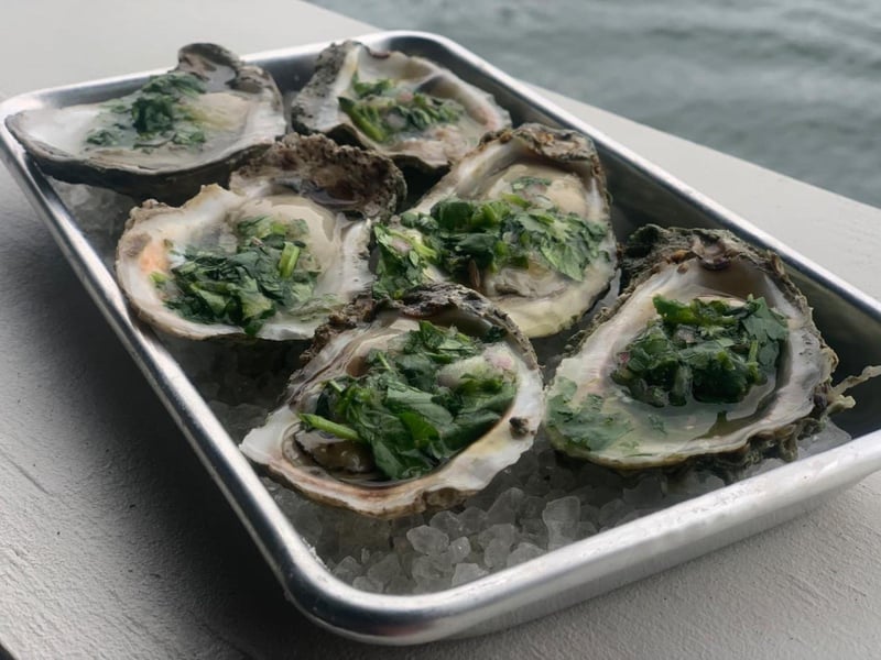 A plate of oysters from Perdido Key Oyster Bar  Marina in Pensacola, Florida