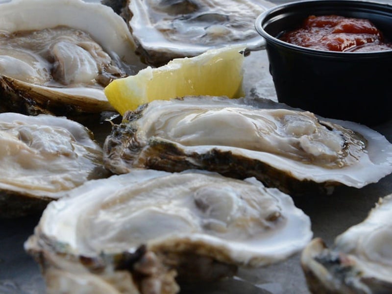 Raw oysters from Perdido Key Oyster Bar  Marina