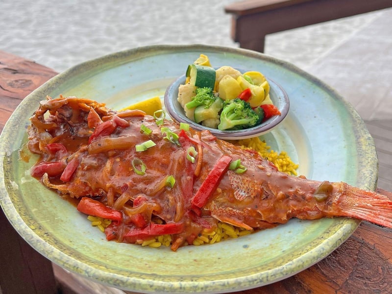 Vermillion Snapper with a Jamaican Brown Stew Gravy from Sharkys Beachfront Restaurant