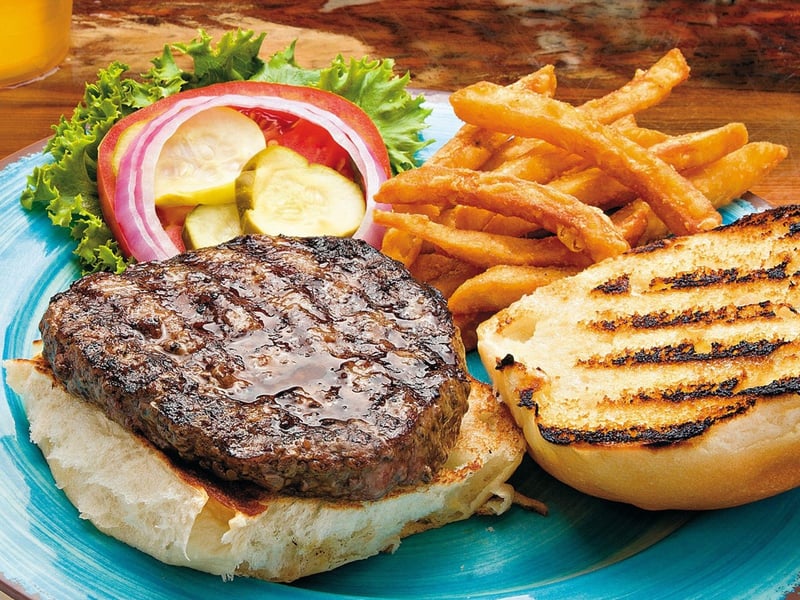The hamburger with fries from Sharkys in Panama City Beach, Florida