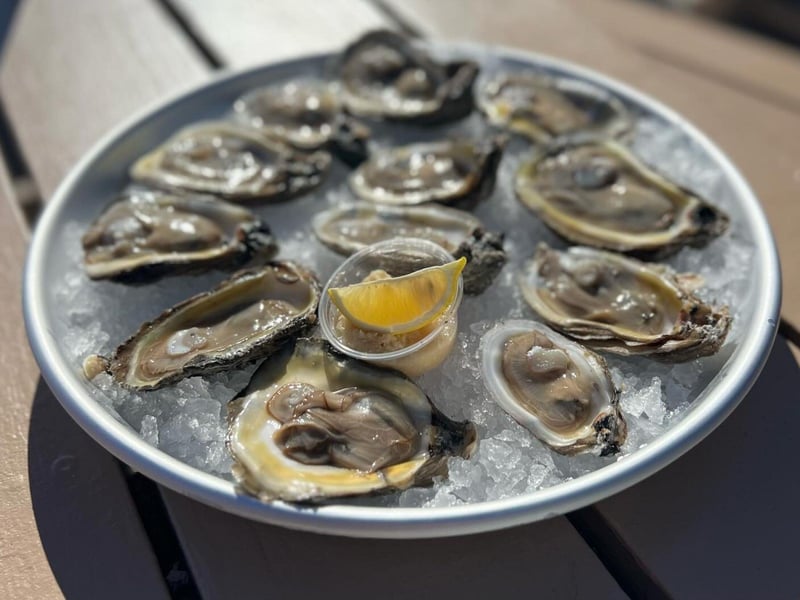 Raw oysters from Shuckums in Panama City Beach, Florida