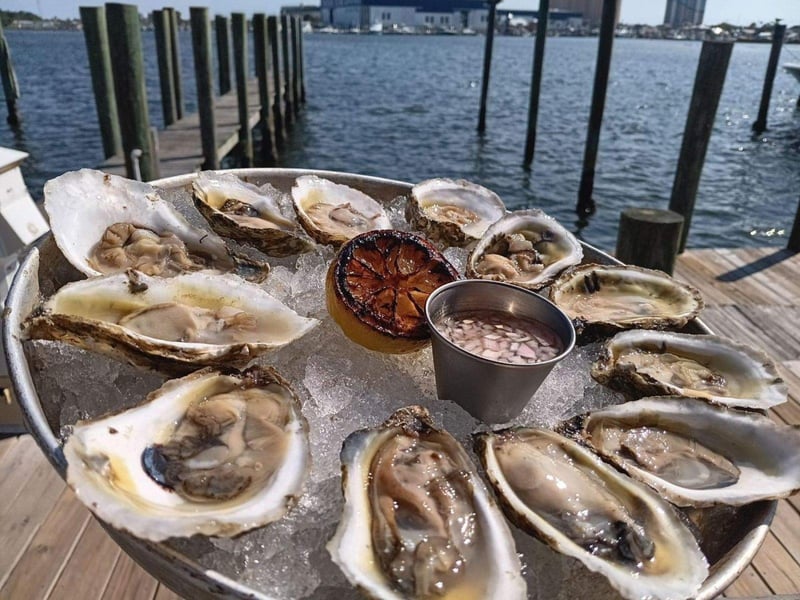 Raw oysters from The Grand Marlin of Panama City Beach