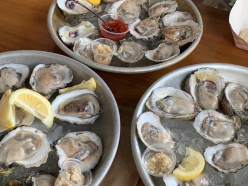 Raw oysters from AJs Oyster Shanty