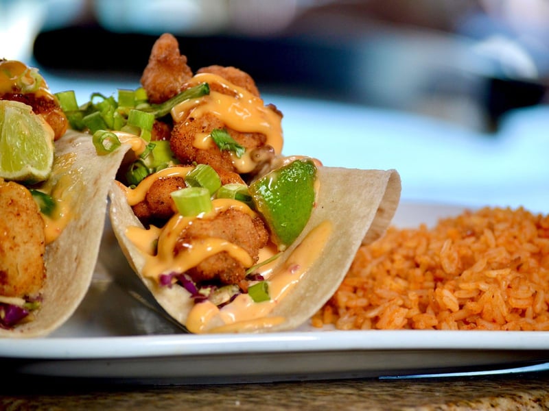 Gator tacos with homemade tortillas