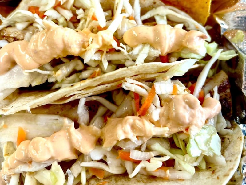 The twin slaw dogs with coleslaw and BBQ from Tamaras On the Go in Apalachicola, Florida