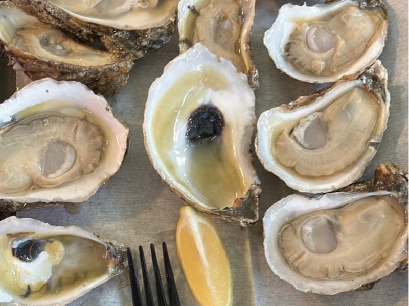 Alligator Point Oysters from Up the Creek Raw Bar