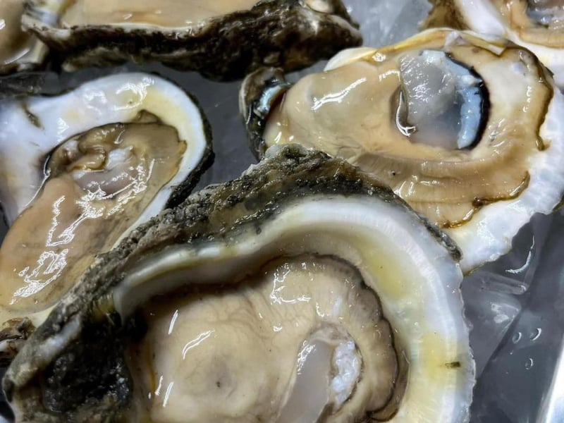 Oysters on the half shell