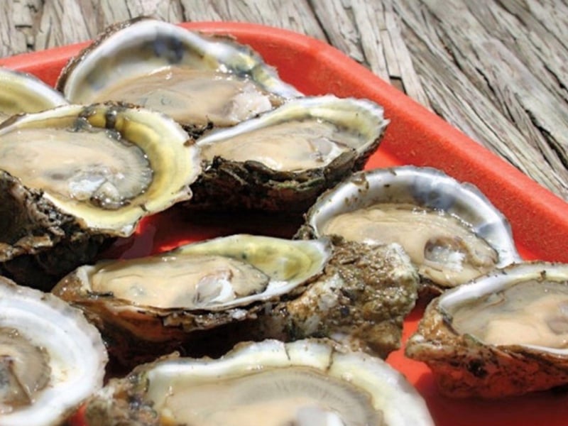 Raw oysters at Indian Pass Raw Bar