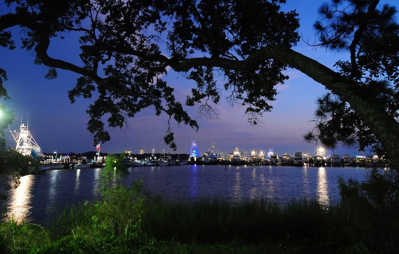 59011 Emeraldcoastbluemarlinclassicnightsceneinmarina