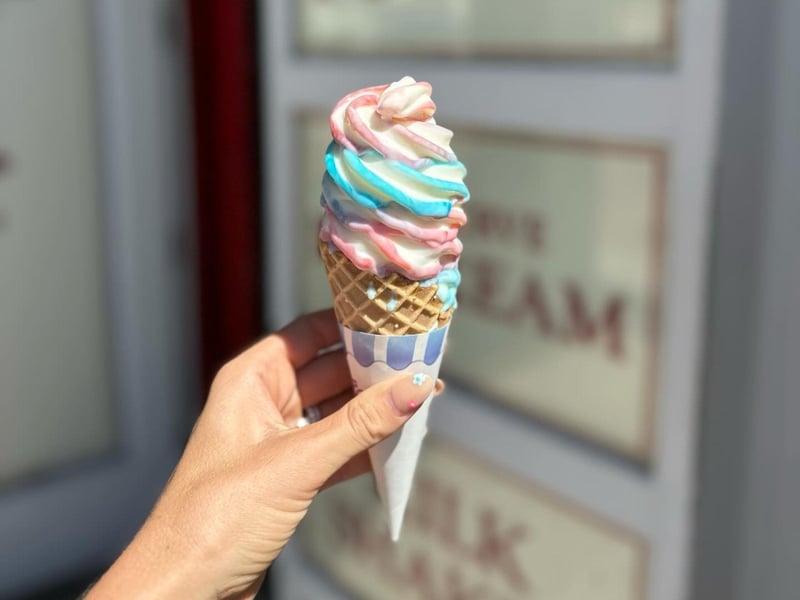 A swirled raspberry and cotton candy cone